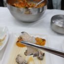 동해물회 | 동해횟집 추천, 선명회식당 물회 2인 솔직 후기 (묵호항맛집)