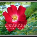 대감보쌈 이미지