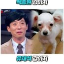 후하다