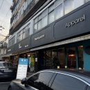 돌삼(Dolsam) 네이버블로그