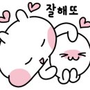 요티인 목포 이미지