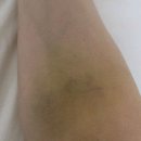 알파비뇨의학과의원 이미지