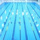 영스포츠타운(수영장) 이미지