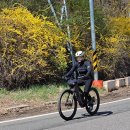 다현뷔페 이미지