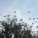 순천문학관 이미지