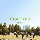 서울숲 원데이 요가 - 웰리 요가 피크닉 Welly Yoga Picnic 후기