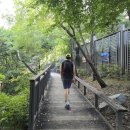 더핏플러스 | [광고] 🎧 샥즈 오픈핏2플러스 &amp; 오픈닷원 후기｜운동할 때도, 육아할 때도 편한 오픈형 이어폰 추천