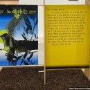 노래하는 땅 이미지