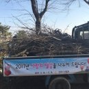 벌채지역 이미지