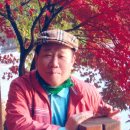 련 이미지