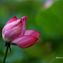 백련주유소 이미지