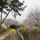 조선제일국밥(죽림점)