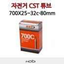 씨에스티