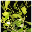 가현농장 이미지