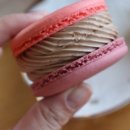 이쁜포리 이미지