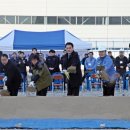 부산세관신항 청사 이미지