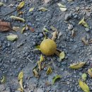 정우식육점 이미지