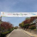 단원고등학교 이미지