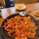 교대역 점심 오징어볶음 먹고싶으면 생각나는 곳 “네모오징어” 내돈내산 후기