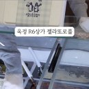 젤라또로플 이미지