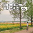 2314 | 부산 유채꽃 가볼만한 곳 봄이면 꼭 가야 하는 대저생태공원 실시간 방문후기
