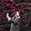 동백환경 | 제주도 동백꽃 카페 가시림｜눈 내린 가시림 수목원 인생샷 후기