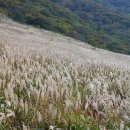 신등고등학교 이미지