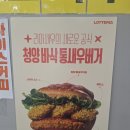 (주)롯데리아엔제리너스광주 | [신상 버거 리뷰]새우×버거 조합은 언제나 옳다 - 롯데리아 청양바삭 통새우버거 2종 후기.