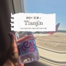 갑작스럽게 떠난 중국 톈진 여행! 트립닷컴 예약부터 공항 픽업까지 첫날 후기