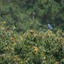 광현농장 이미지