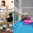 코쿠닝78 이미지