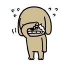 [대학생 커플 다카마쓰 여행] 다카마쓰 4박5일 여행 2편 : 일본 연말연시는 영업을 거의 안할까...