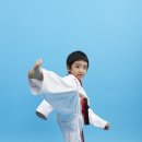 오늘은 태권도 이미지