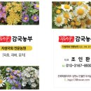 지리산골감국농부 이미지