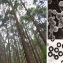 유민의료기 이미지