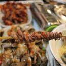 낭만애견 이미지