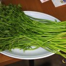 미나리슈퍼 이미지