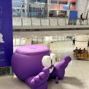 서원택시(주) | 8월 두바이 1일 스탑오버 자유여행 🇦🇪 | 물가 맛집 항공권가격 꿀팁 정리본