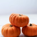 현대계절음식 이미지