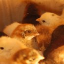 현인농원 이미지