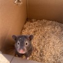 특별한동물가게 평택점 이미지