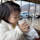 금오당 - 구미시 역전로 9 | 아이랑 가기 좋은 구미 베이커리 카페 금오당 솔직후기