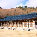 수도암조계종 Daum카페