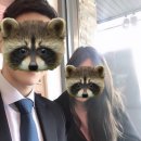 일산 상견례 장소 - 아소산/해오름한정식/서궁