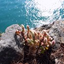 해지마을회관 이미지