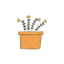 리현악기 이미지