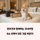 ㈜센트럴파크호텔부산 | 반려동물과 국내여행! 반려견 동반 가능한 호텔 TOP 5