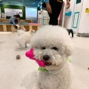 주견야독 이미지