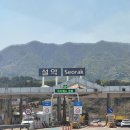 남이섬힐링캠핑장 이미지