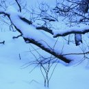 오,에스,티 이미지